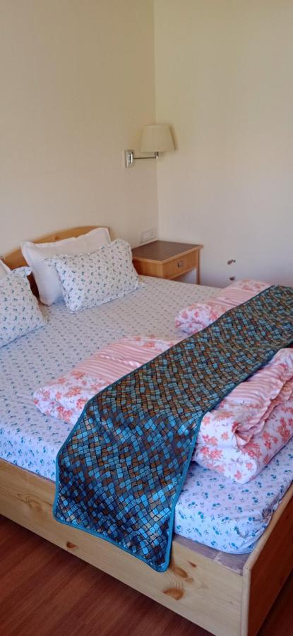 Lhardak Home Stay Léh Exteriér fotografie